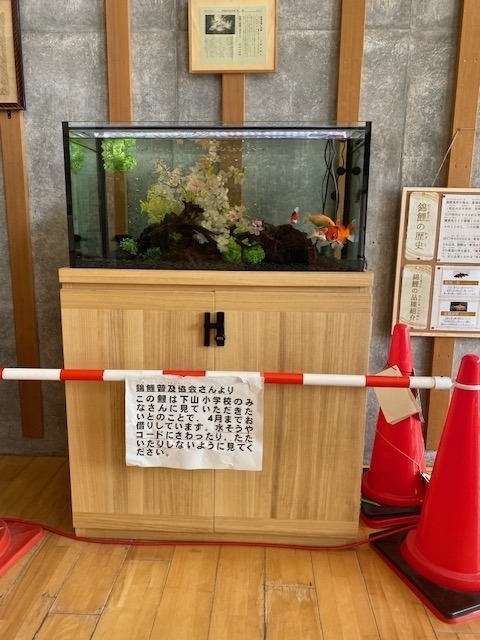 桐の水槽キャビネット